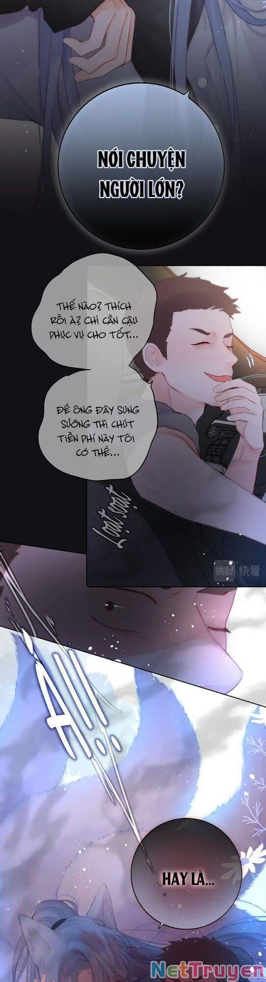 Cạm Bẫy Của Hồ Ly Chap 2 - Next Chap 3