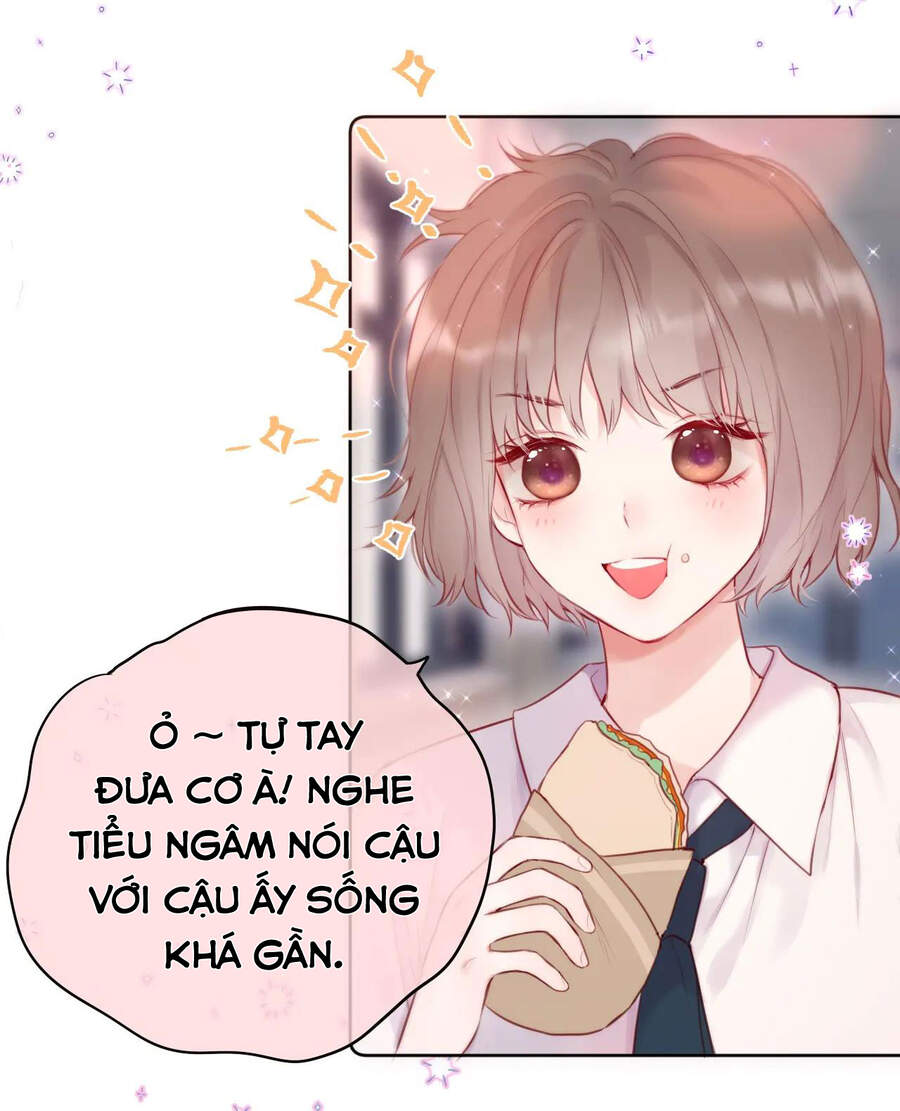 Cạm Bẫy Của Hồ Ly Chap 11 - Next Chap 12