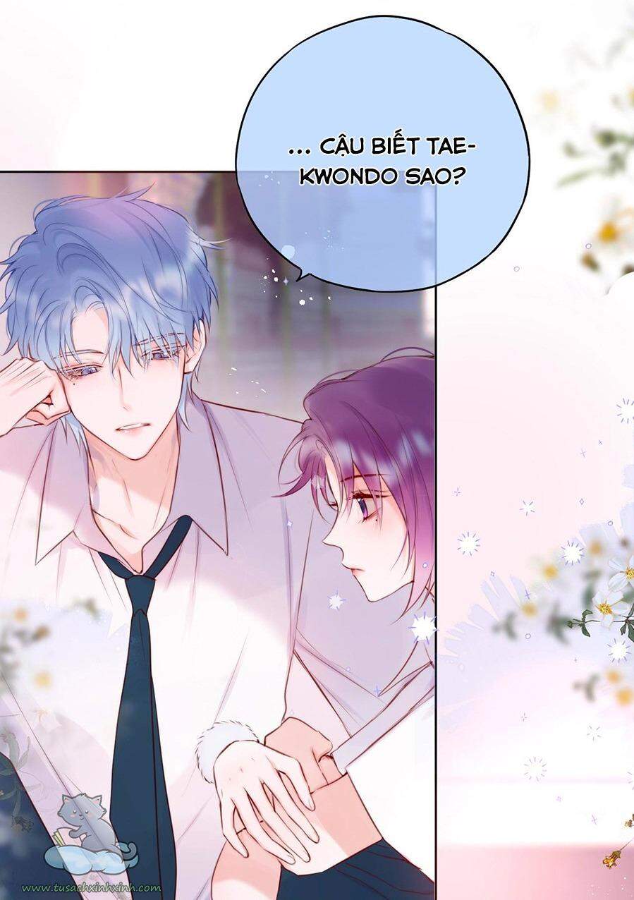Cạm Bẫy Của Hồ Ly Chap 16 - Next Chap 17
