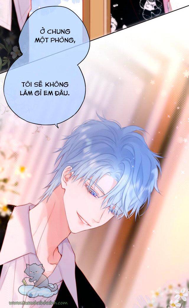 Cạm Bẫy Của Hồ Ly Chap 24 - Next Chap 25