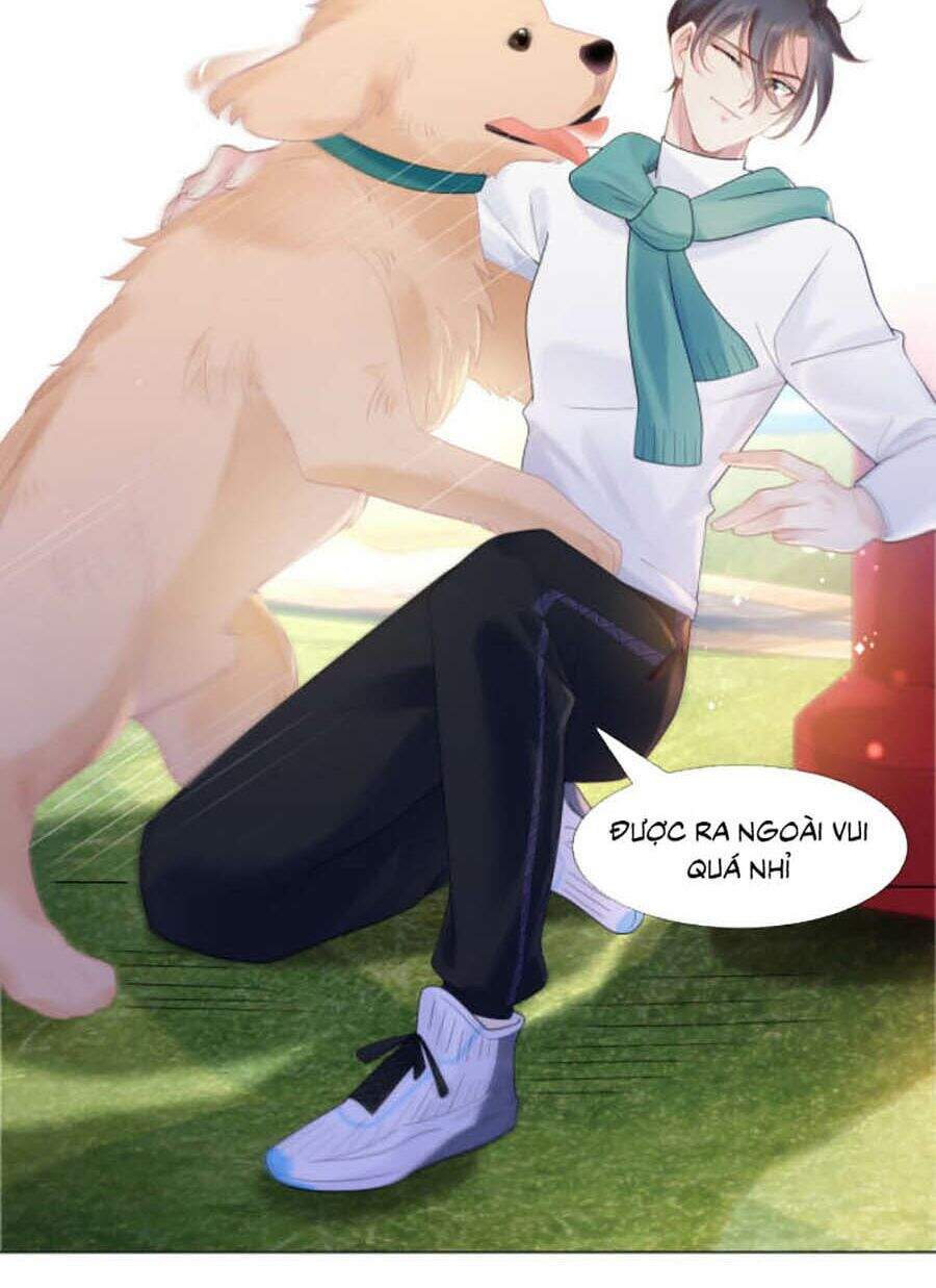 Diêu Diêu Yêu Dấu, Cuối Cùng Sủng Được Em Rồi Chap 2 - Next Chap 3