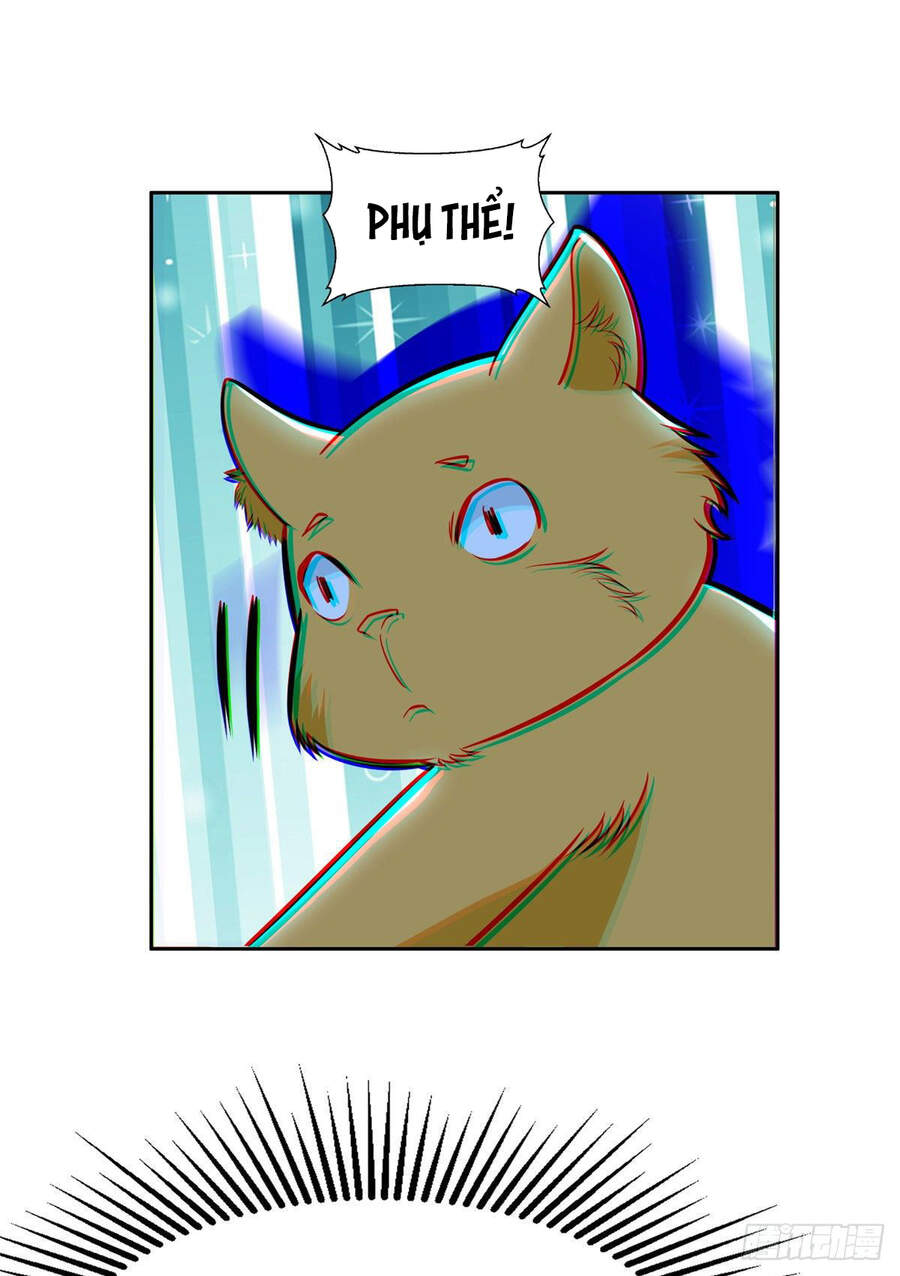 Trọng Sinh Chi Thần Cấp Bại Gia Tử Chap 7 - Next Chap 8