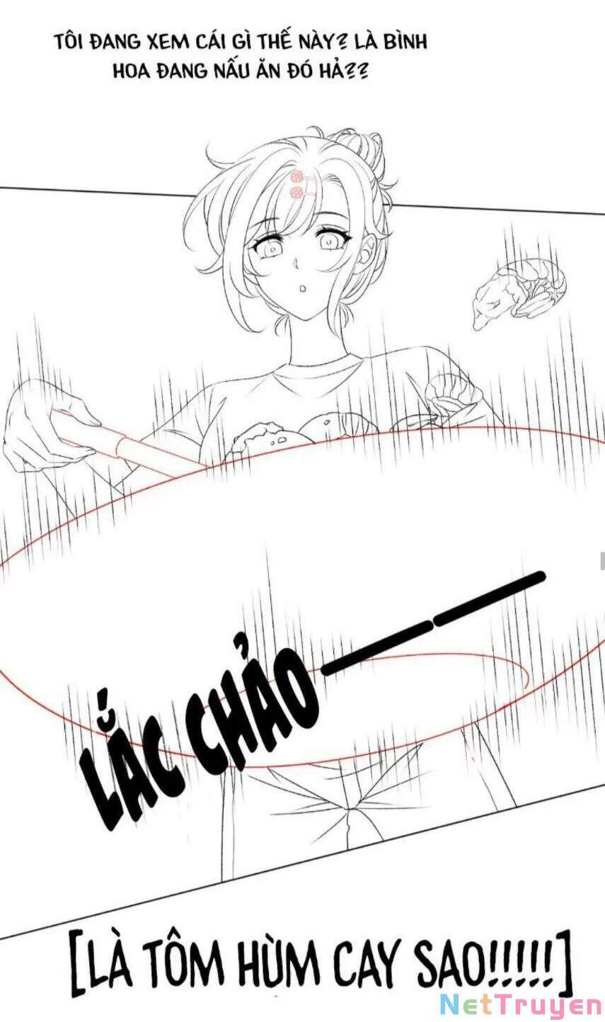 Cô Ấy Ngày Nào Cũng Lên Hot Search! Chap 17 - Next Chap 18