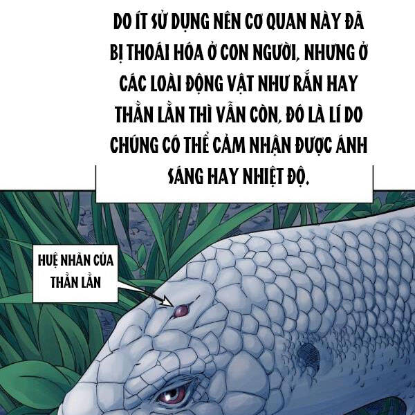 Hoành Tảo Cửu Châu Chap 31 - Next Chap 32