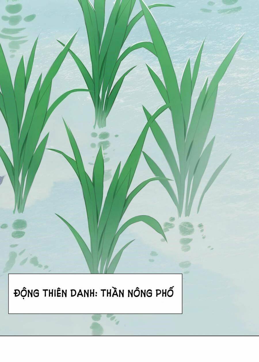 Hậu Cung Quá Nhiều, Tốt Nhất Là Phi Thăng Thôi Chap 32 - Next Chap 33