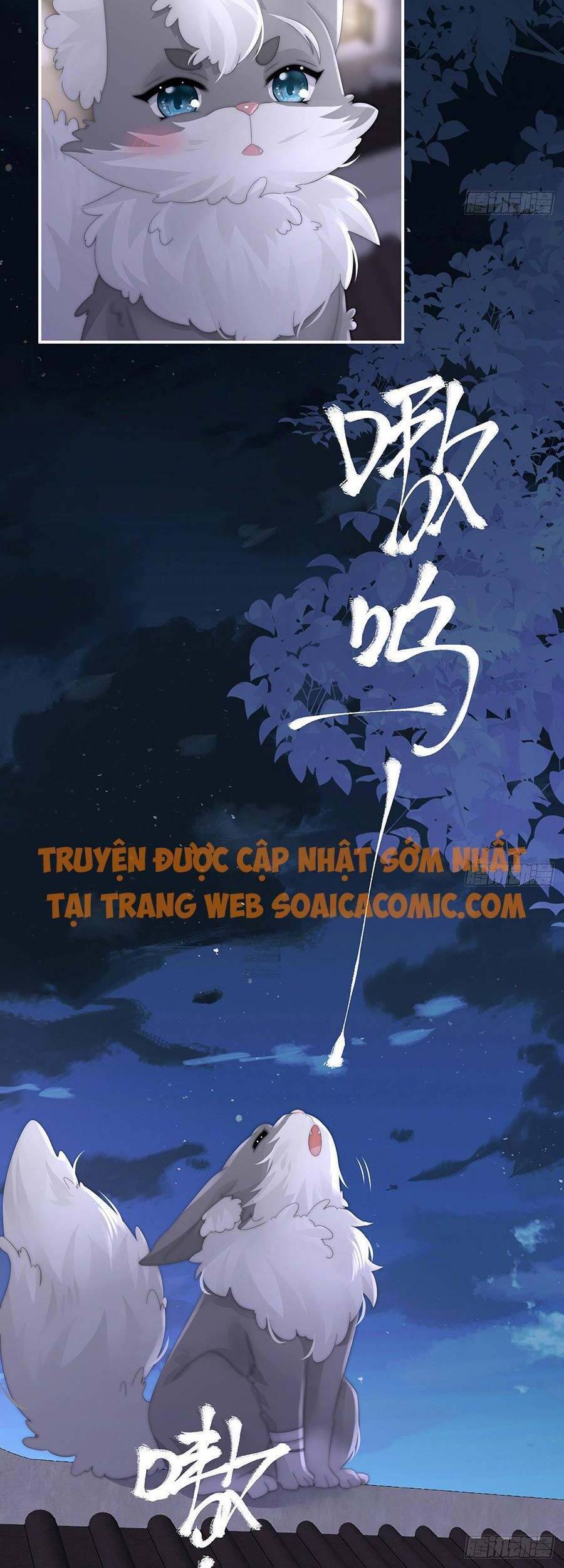 Thê Chủ, Thỉnh Hưởng Dụng Chap 20 - Next Chap 21