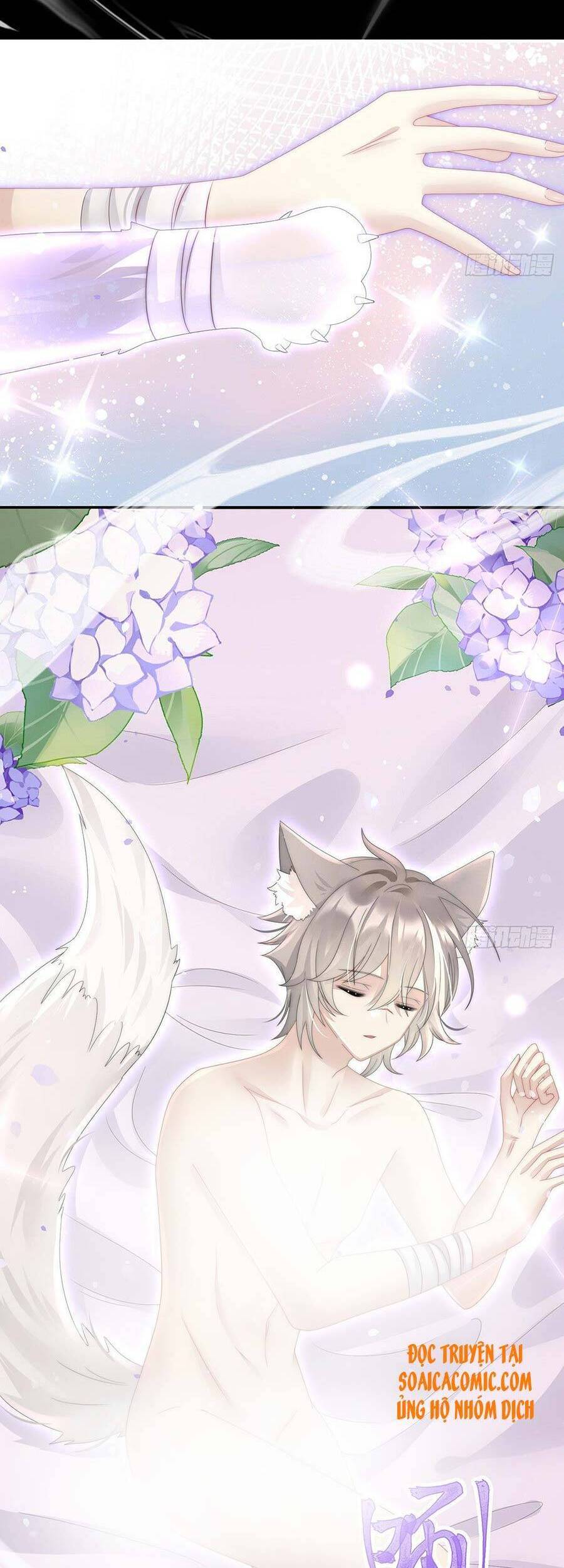 Thê Chủ, Thỉnh Hưởng Dụng Chap 20 - Next Chap 21