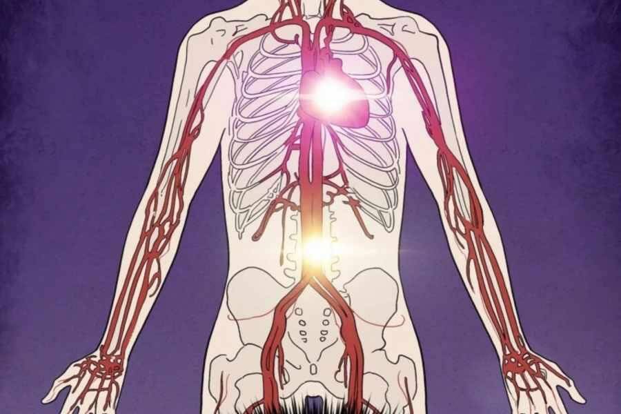 Trọng Sinh Thành Thần Y Thời Tam Quốc Chap 31 - Next Chap 32