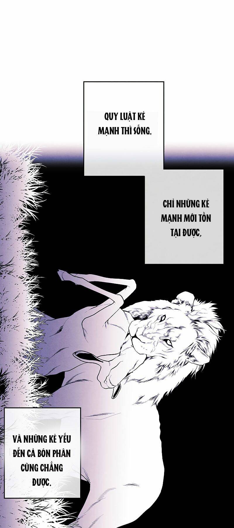 Con Trai Út Huyền Thoại Nhà Hầu Tước Chap 7 - Next Chap 8