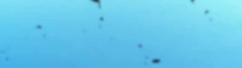 Con Trai Út Của Gia Đình Kiếm Thuật Danh Tiếng Chap 24 - Next Chap 25