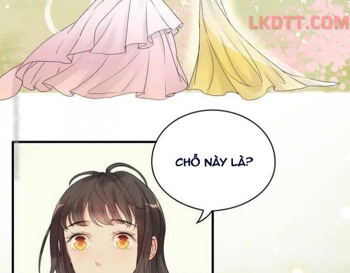 Cô Vợ Hợp Đồng Bỏ Trốn Của Tổng Giám Đốc Chap 333 - Next Chap 334