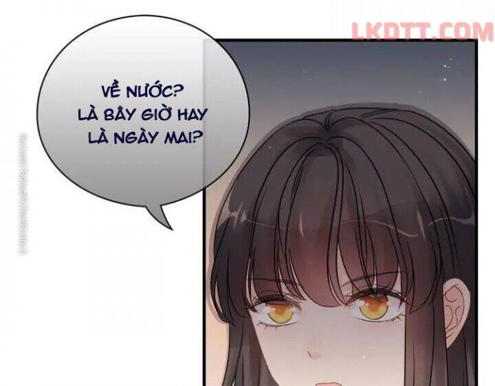 Cô Vợ Hợp Đồng Bỏ Trốn Của Tổng Giám Đốc Chap 333 - Next Chap 334