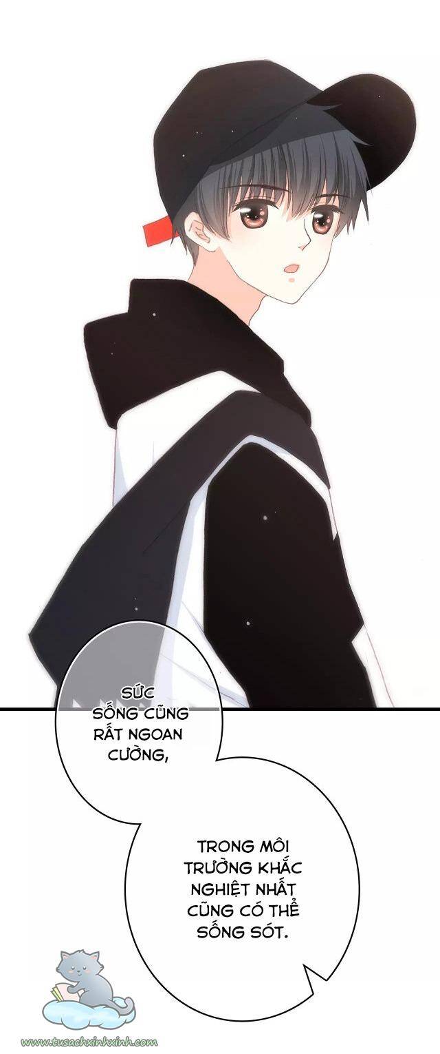 Con Tim Rung Động Chap 62 - Next Chap 63