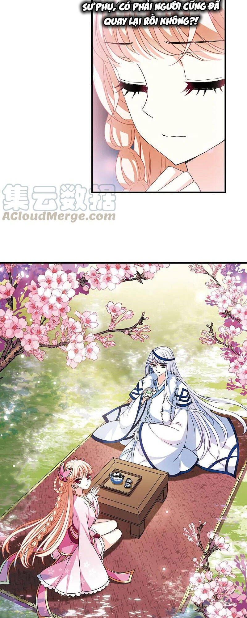 Phong Khởi Thương Lam Chap 507 - Next Chap 508