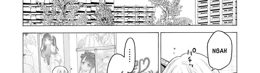 Nàng Nổi Loạn X Chàng Thợ May Chap 75 - Next Chap 76