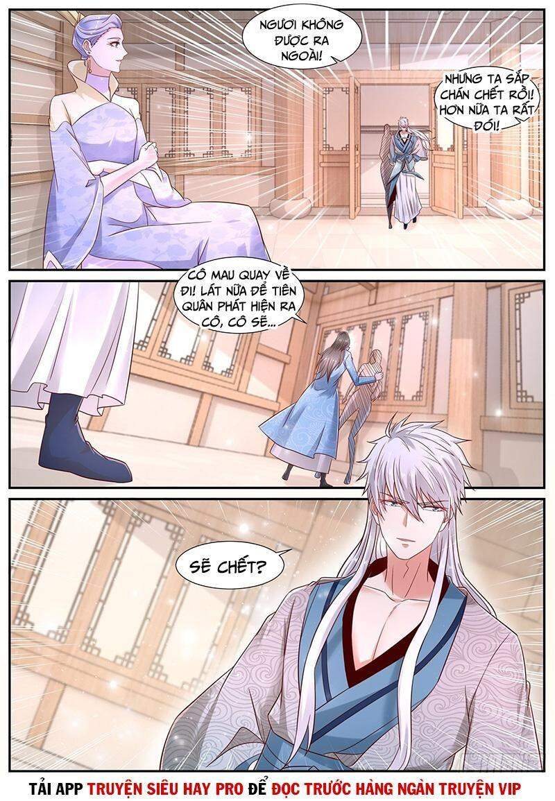 Trọng Sinh Đô Thị Tu Tiên Chap 683 - Next Chap 684