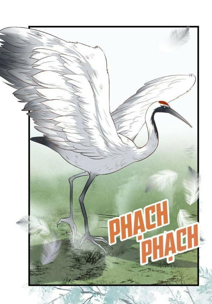 TUYỆT SẮC QUYẾN RŨ: QUỶ Y CHÍ TÔN Chap 251 - Next Chap 252