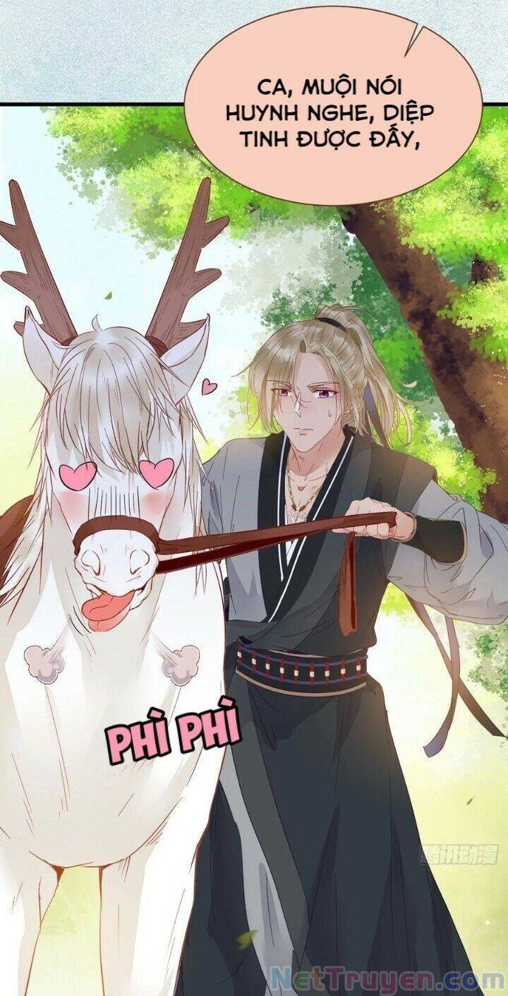 TUYỆT SẮC QUYẾN RŨ: QUỶ Y CHÍ TÔN Chap 265 - Next Chap 266