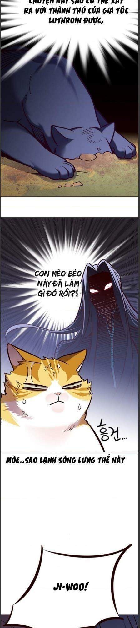 Hóa Thân Thành Mèo Chap 162 - Next Chap 163