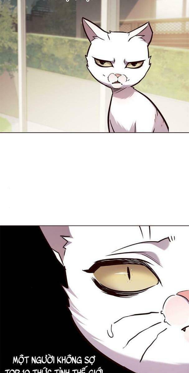 Hóa Thân Thành Mèo Chap 177 - Next Chap 178