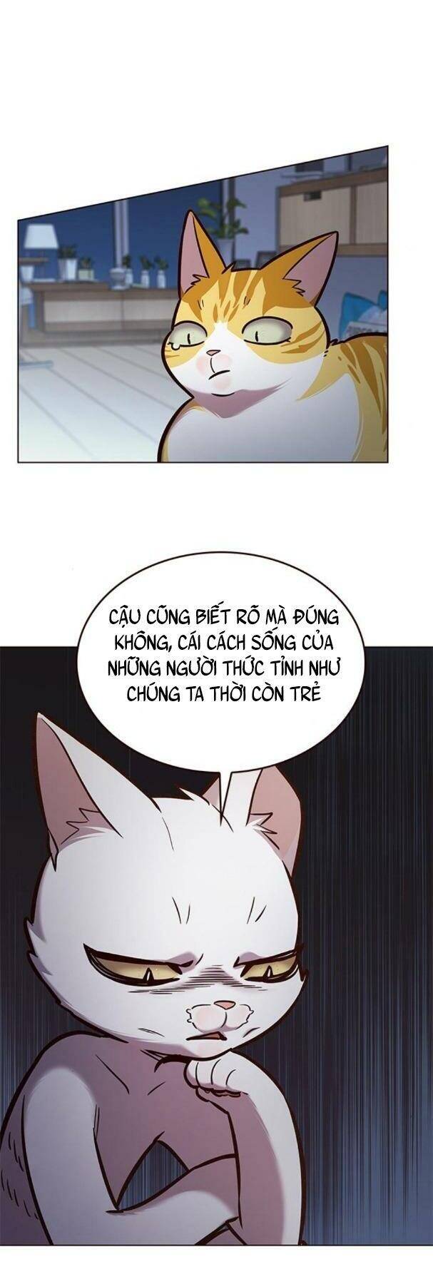 Hóa Thân Thành Mèo Chap 190 - Next Chap 191