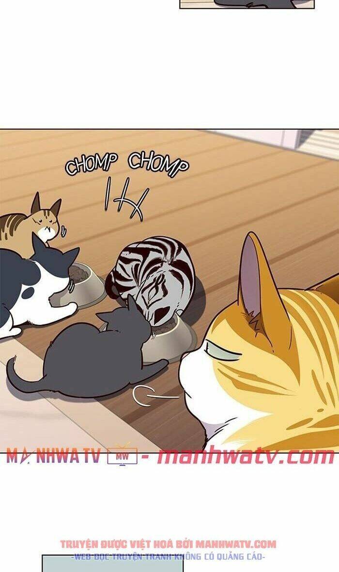 Hóa Thân Thành Mèo Chap 56 - Next Chap 57