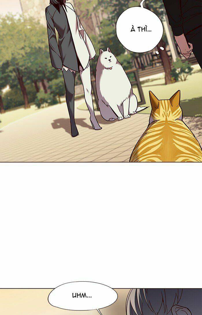 Hóa Thân Thành Mèo Chap 81 - Next Chap 82