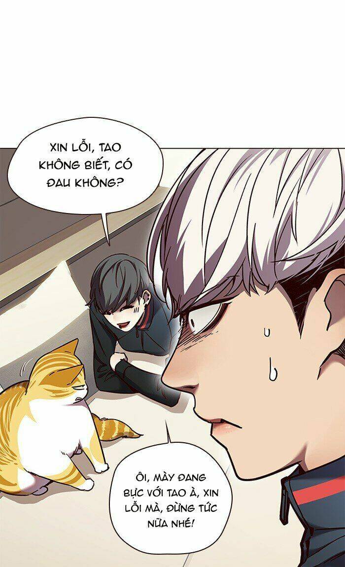 Hóa Thân Thành Mèo Chap 82 - Next Chap 83