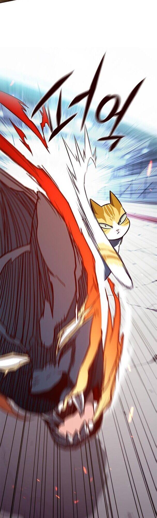 Hóa Thân Thành Mèo Chap 163 - Next Chap 164