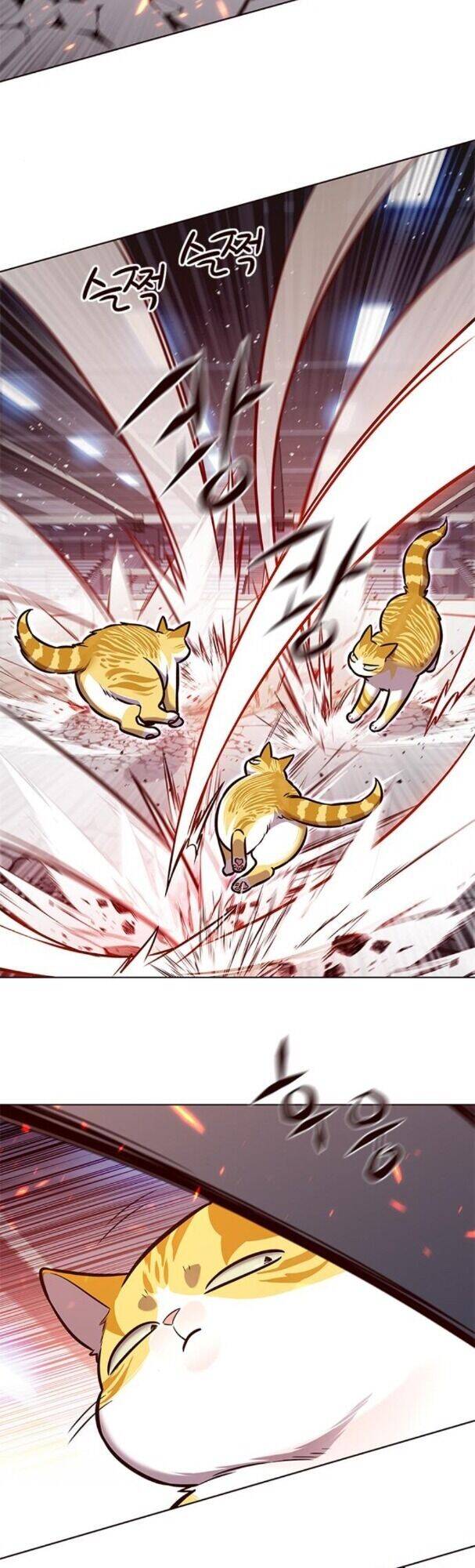 Hóa Thân Thành Mèo Chap 163 - Next Chap 164