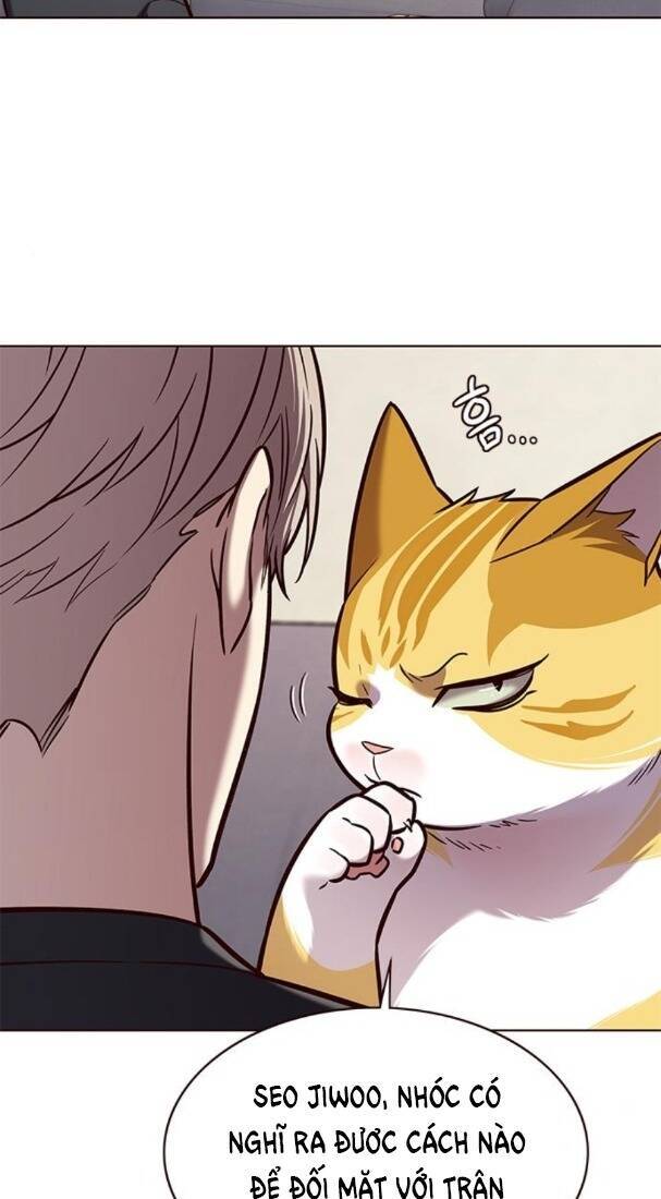 Hóa Thân Thành Mèo Chap 173 - Next Chap 174