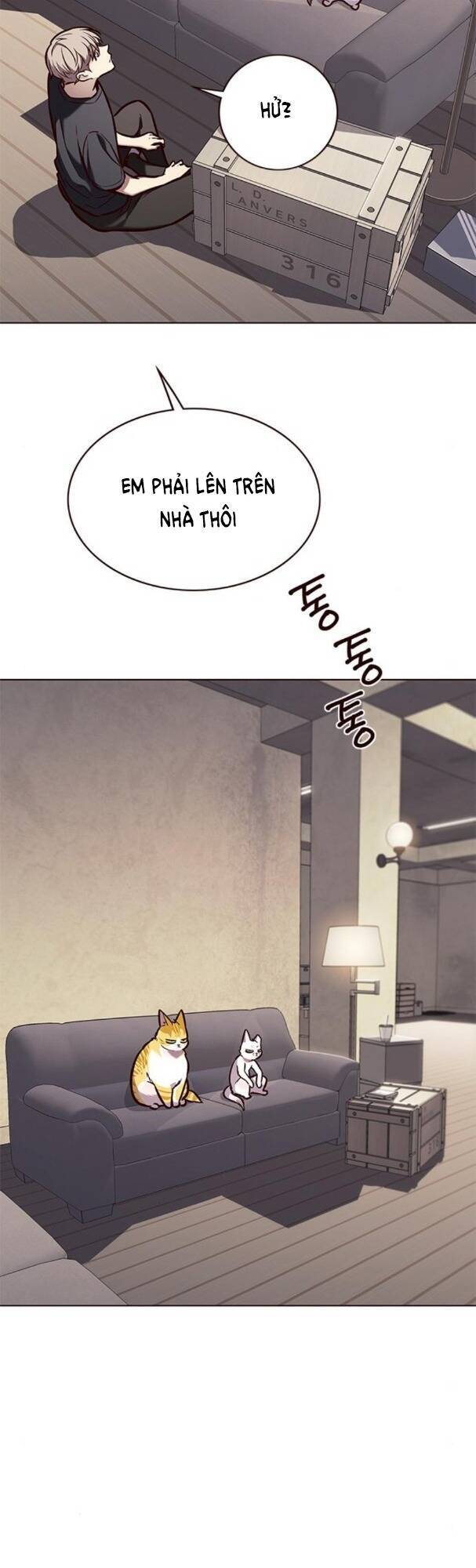 Hóa Thân Thành Mèo Chap 173 - Next Chap 174