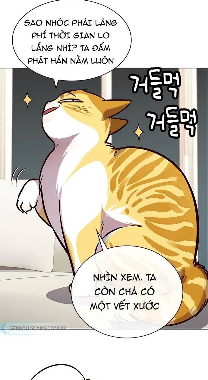 Hóa Thân Thành Mèo Chap 186 - Next Chap 187