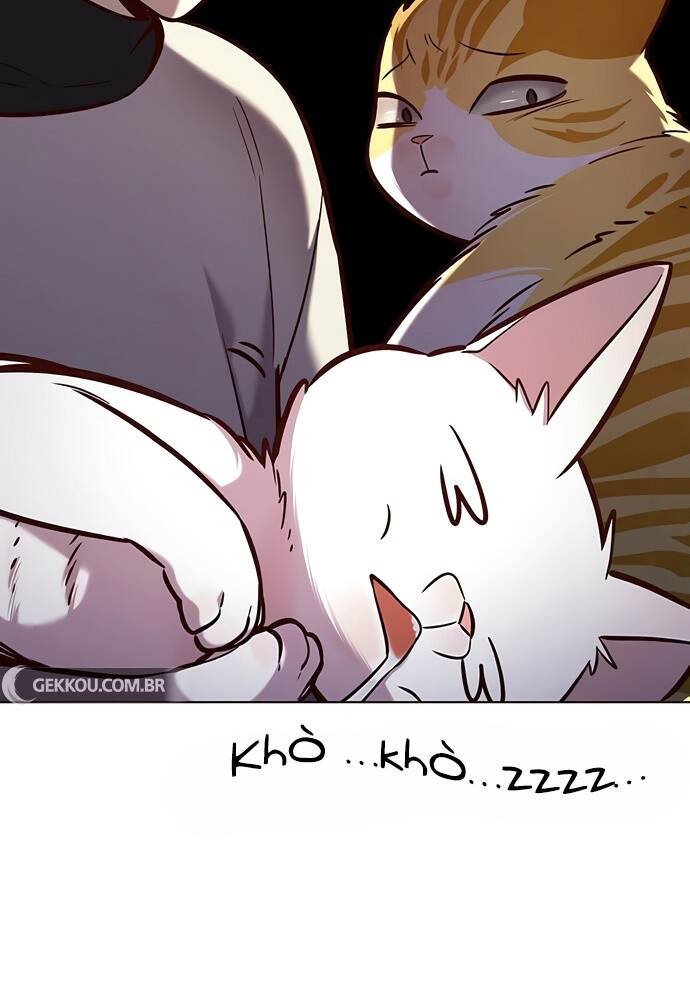 Hóa Thân Thành Mèo Chap 188 - Next Chap 189