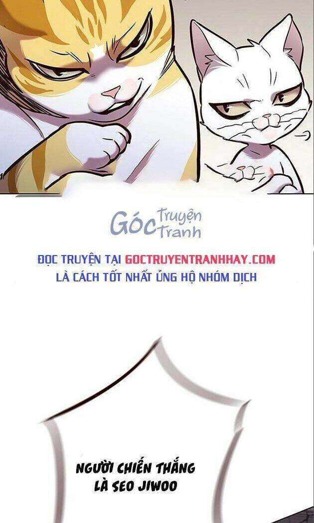 Hóa Thân Thành Mèo Chap 198 - Next Chap 199