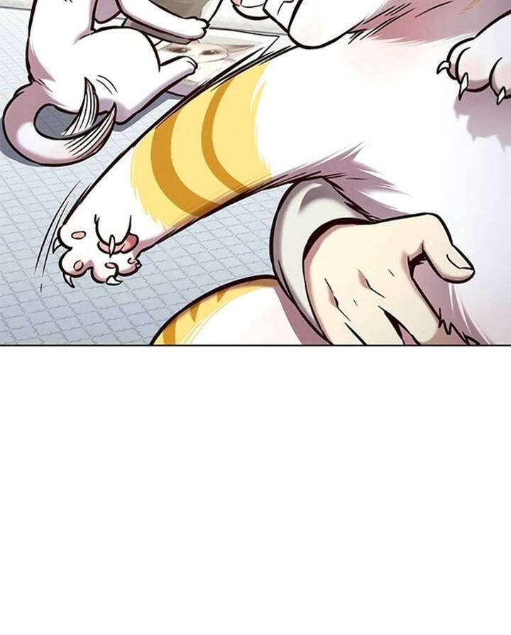 Hóa Thân Thành Mèo Chap 200 - Next Chap 201