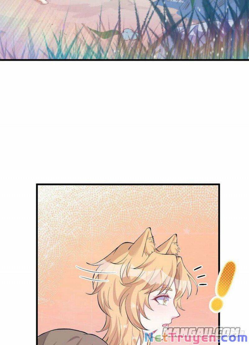 Thảnh Thơi Thú Thế Chủng Chủng Điền, Sinh Sinh Tể Chap 215 - Next Chap 216