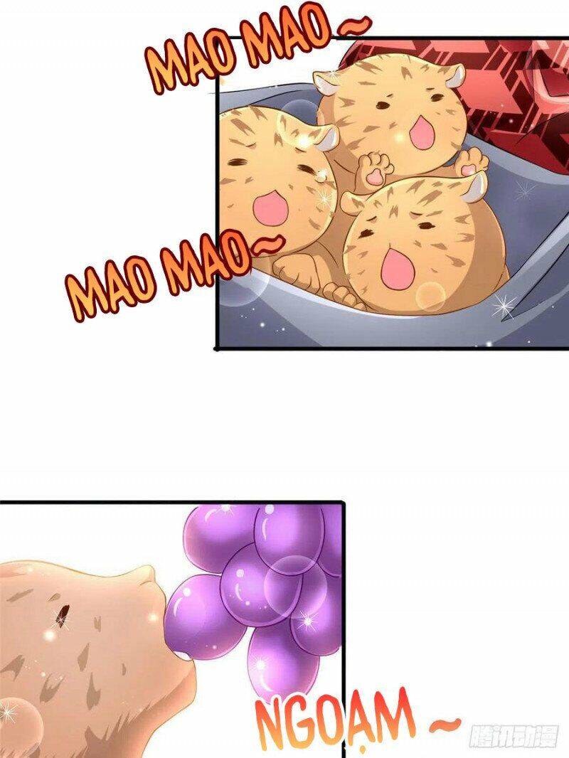 Thảnh Thơi Thú Thế Chủng Chủng Điền, Sinh Sinh Tể Chap 247 - Next Chap 248