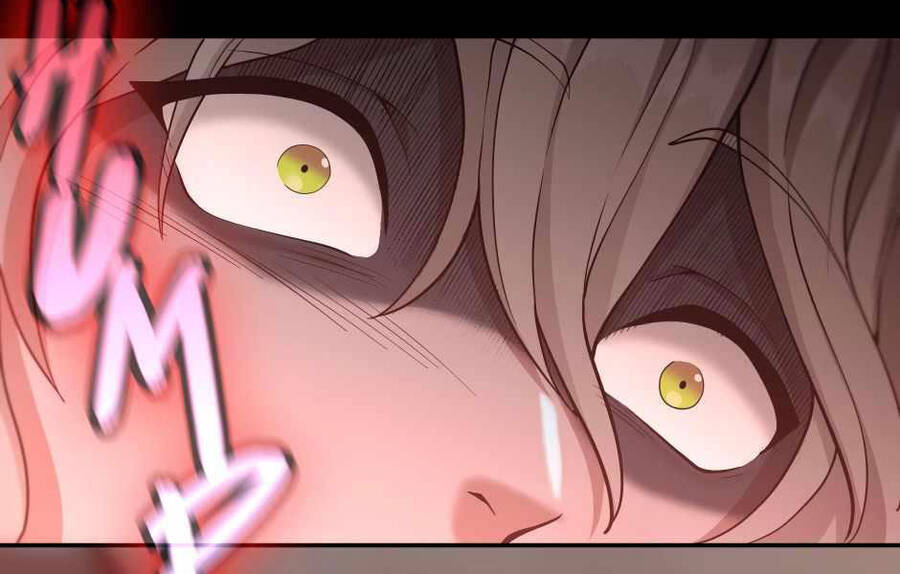 Ánh Sáng Cuối Con Đường Chap 132 - Next Chap 133