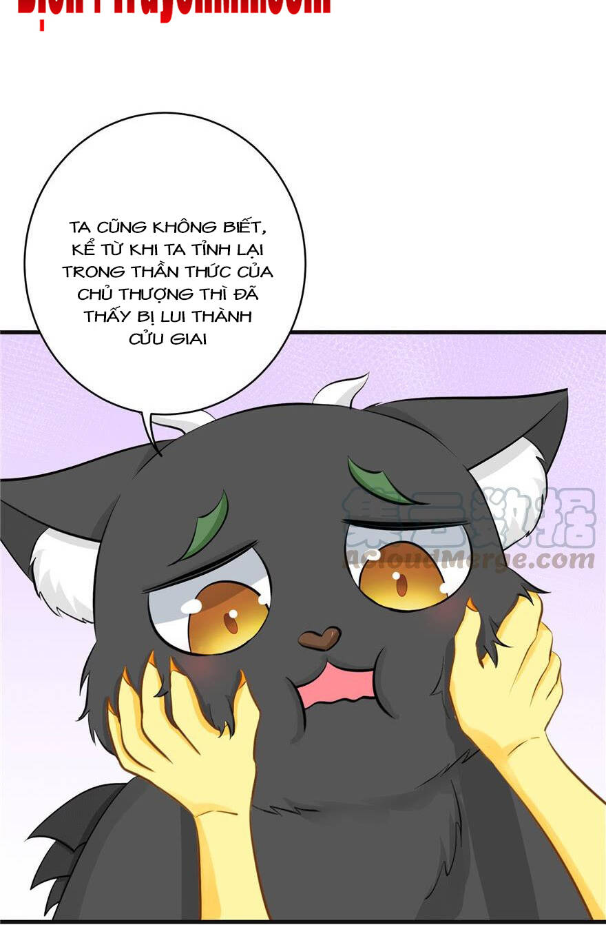 Đồ Đệ Nhà Ta Lại Quải Rồi Chap 155 - Next Chap 156