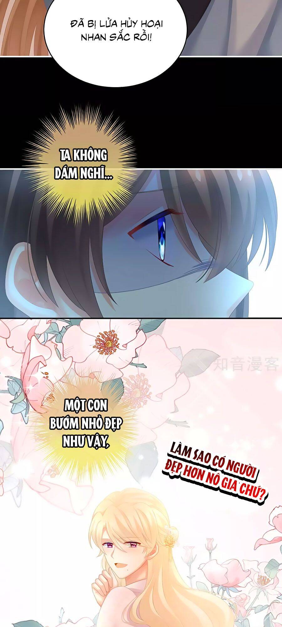 Hậu Cung Của Nữ Đế Chap 223 - Next Chap 224