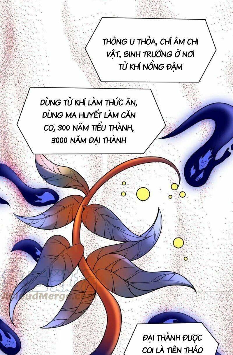 Ta Tu Có Lẽ Là Giả Tiên Chap 177 - Next Chap 178