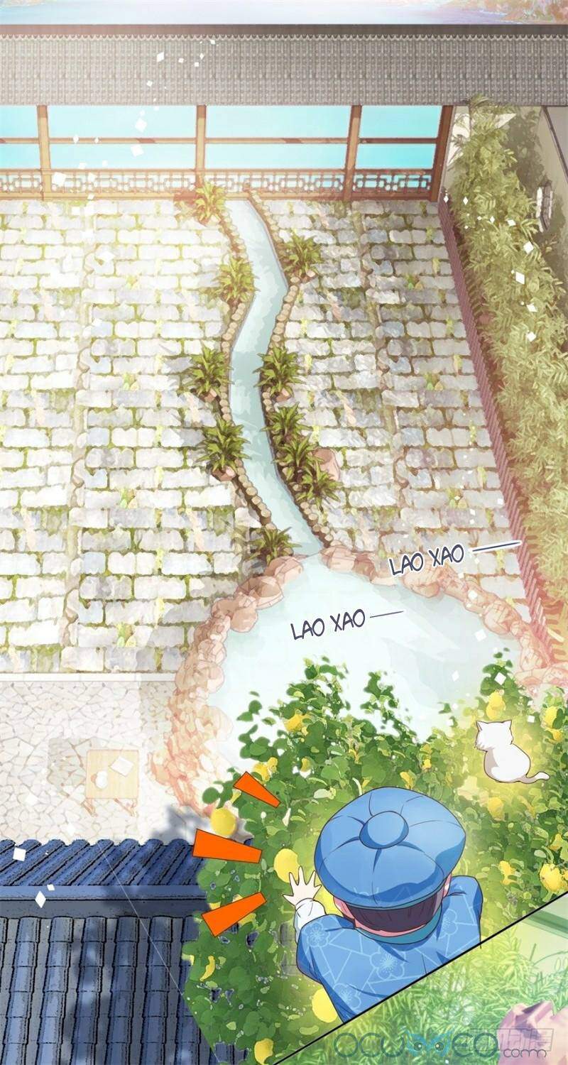 Tư Sủng Âm Dương Phi Chap 9 - Next Chap 10