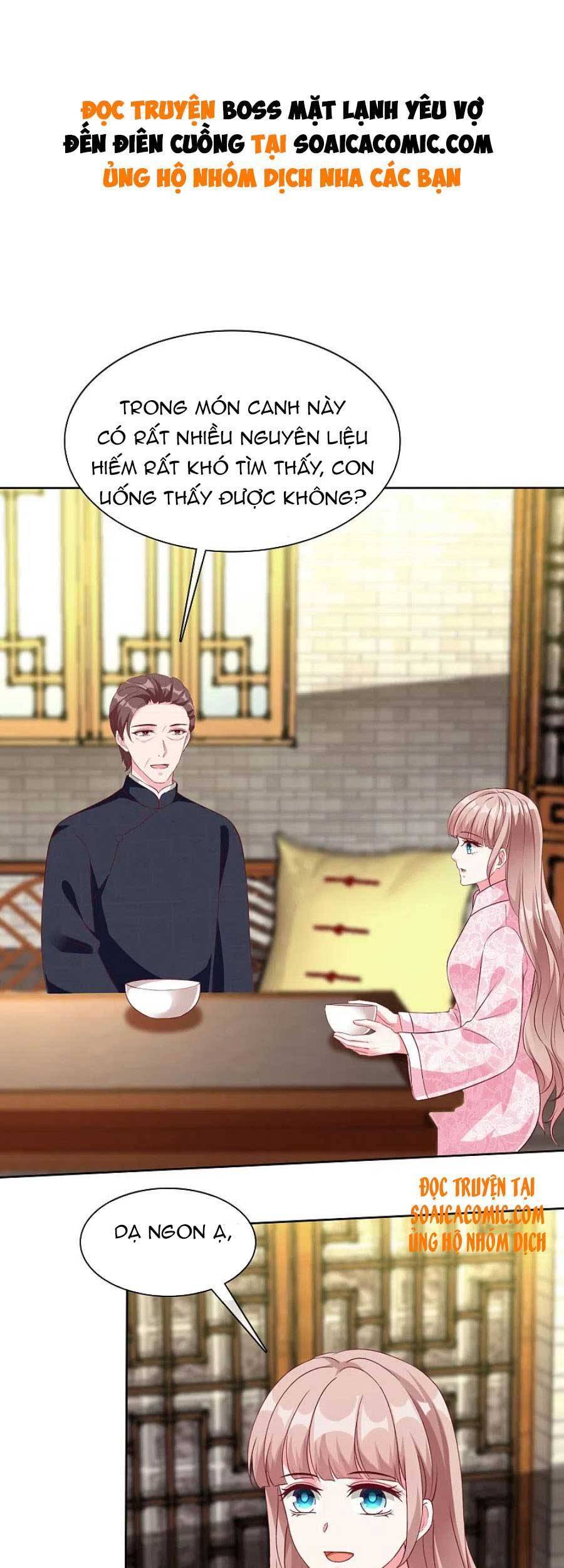 Băng Sơn Tổng Tài Sủng Thê Đến Vô Đạo Chap 206 - Next Chap 207