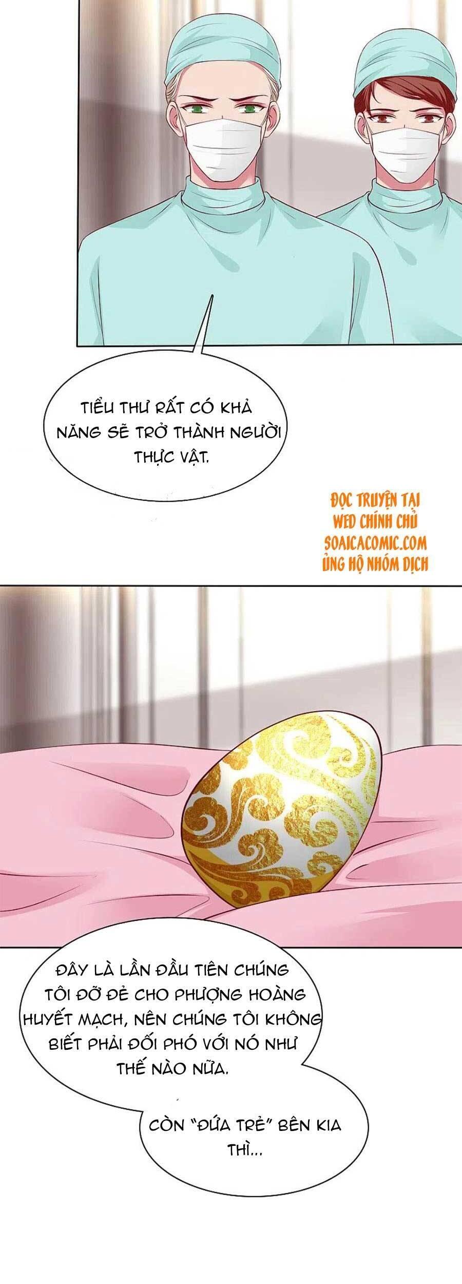 Băng Sơn Tổng Tài Sủng Thê Đến Vô Đạo Chap 214 - Next Chap 215