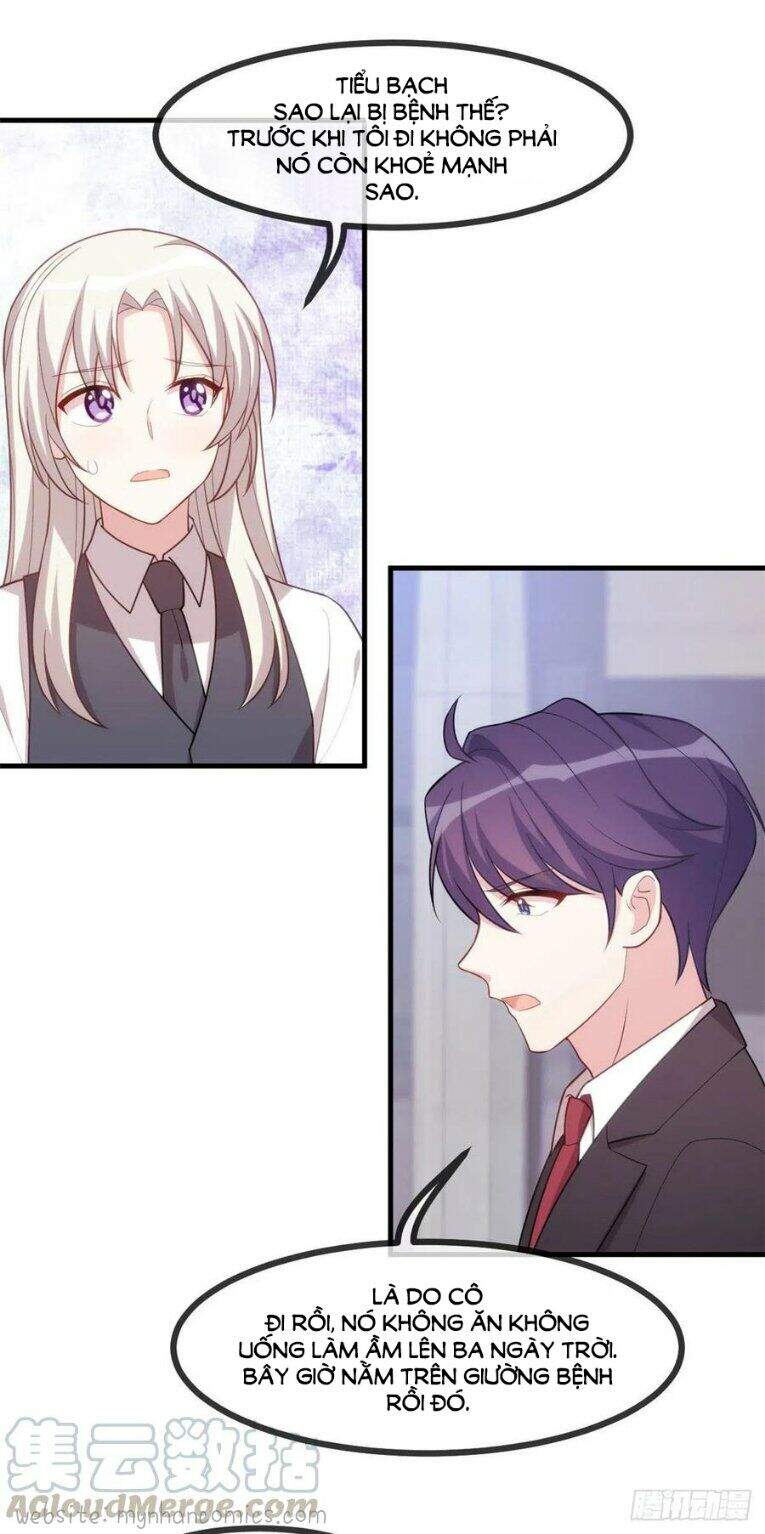 Tiểu Bạch Nam Thần Daddy Chap 102 - Next Chap 103