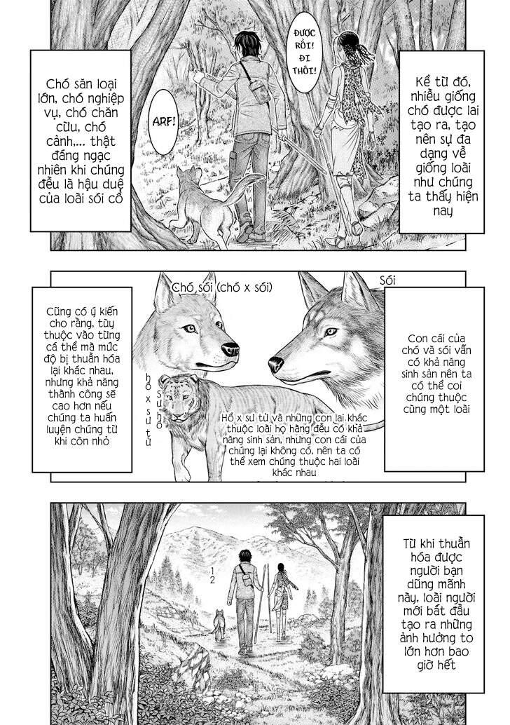 Trở Lại Thời Kì Đồ Đá Chap 24 - Next Chap 25