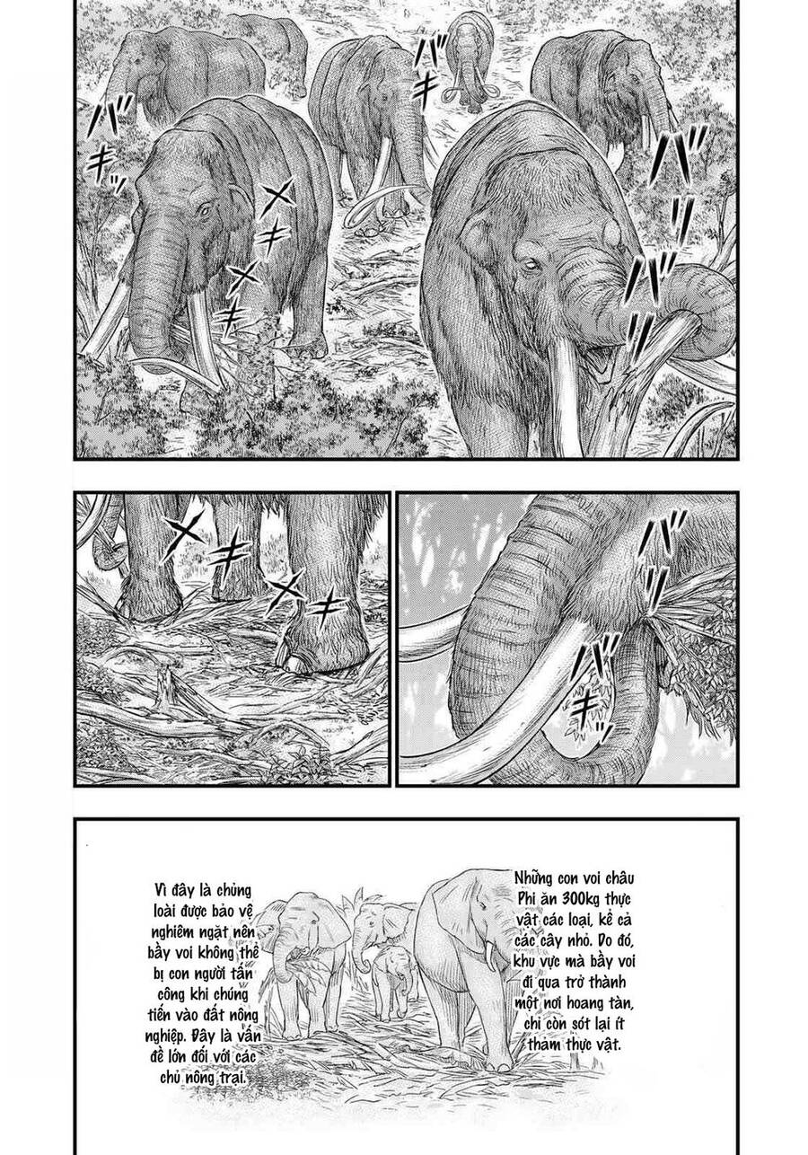 Trở Lại Thời Kì Đồ Đá Chap 40 - Next Chap 41