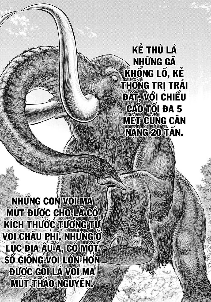 Trở Lại Thời Kì Đồ Đá Chap 42 - Next Chap 43