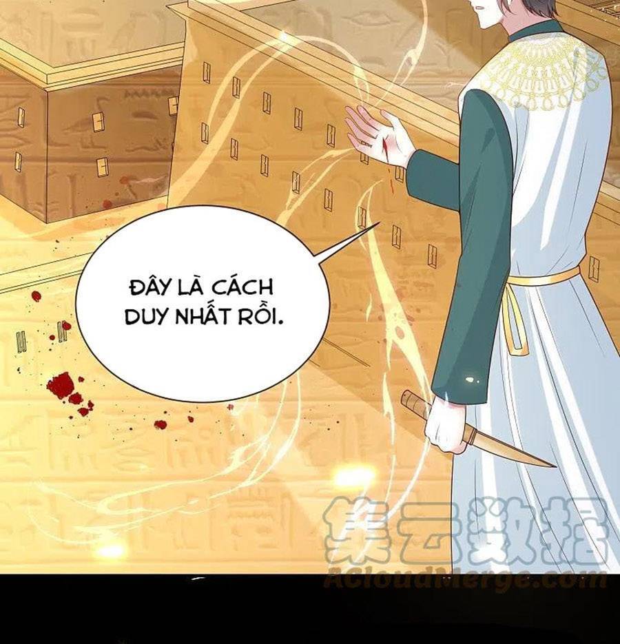 Sủng Hậu Của Vương Chap 167 - Next Chap 168